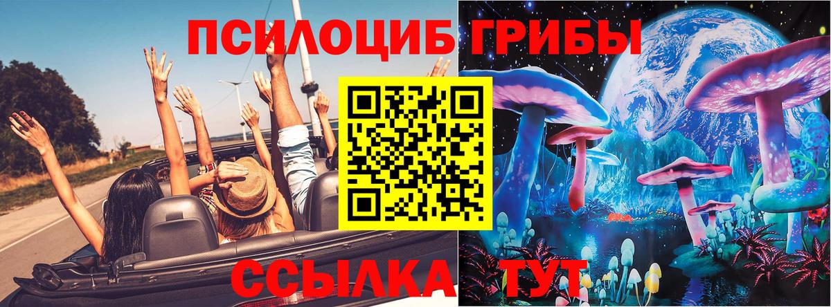 Псилоцибиновые грибы ЛСД Сибай