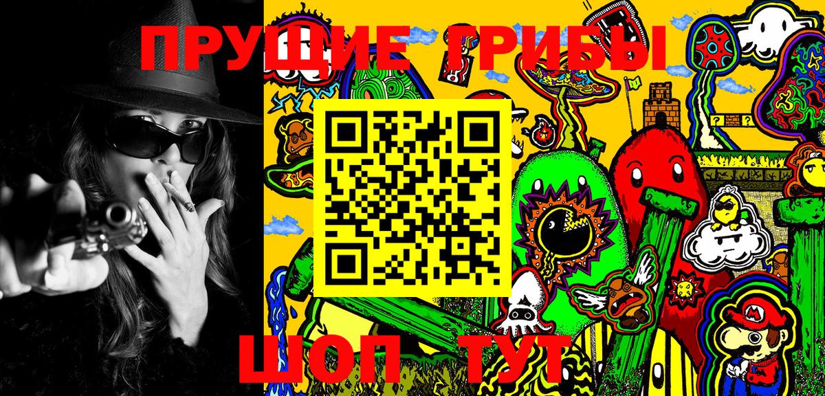 Псилоцибиновые грибы Psilocybine cubensis  Вход с VPN  Сибай 